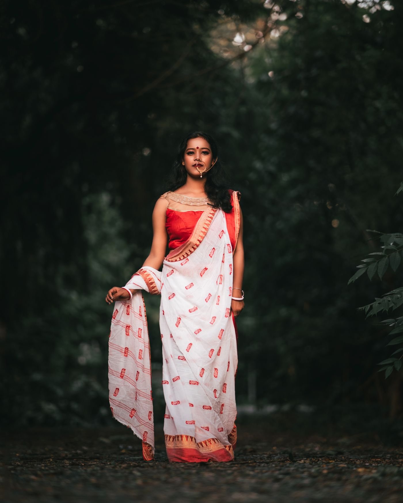 Handloom Cotton Saree